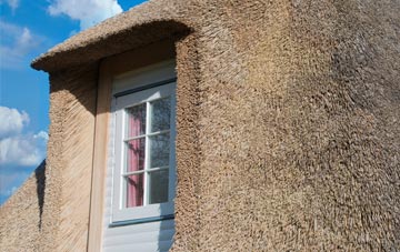 Fitzhead thatch roof disadvantages